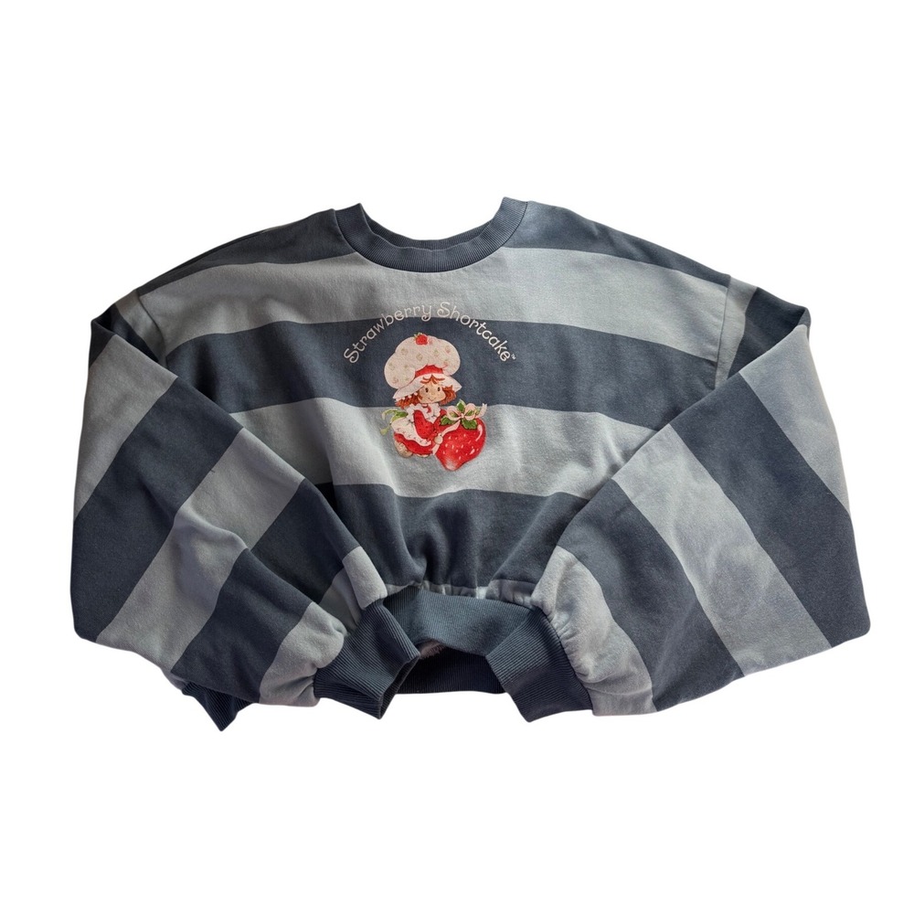 Strawberry Shortcake Blue Striped Cropped Sweatshirt Pullover Small Graphic Top